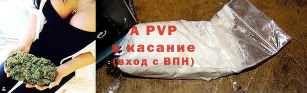 стаф Чита