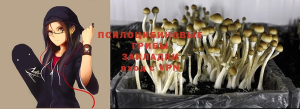 кокаин премиум Касимов