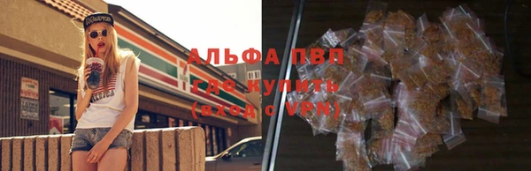 стаф Киреевск