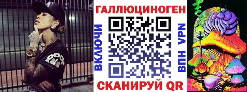 Галлюциногенные грибы Psilocybe  Куровское 