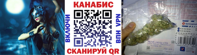 Марихуана план  Куровское 